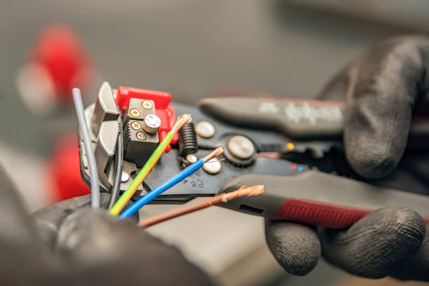 Best Electric Panel Repair  in Seadrift, TX