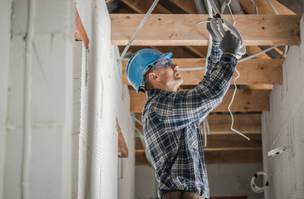Best Electrical System Inspection  in Seadrift, TX